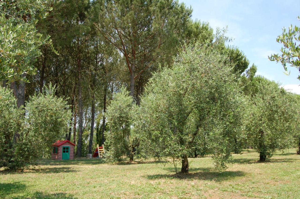Agriturismo Il Selvino Terricciola Exteriör bild