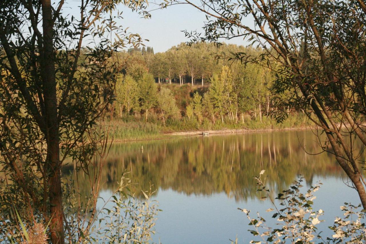 Agriturismo Il Selvino Terricciola Exteriör bild