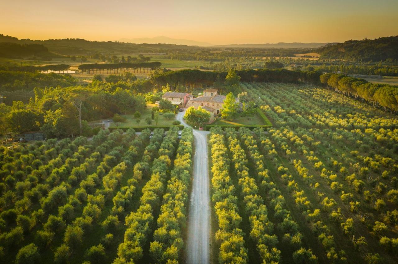 Agriturismo Il Selvino Terricciola Exteriör bild